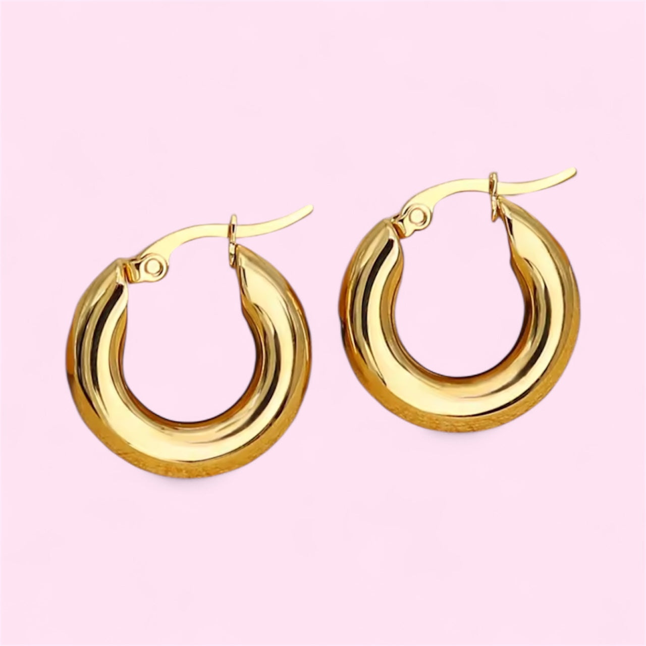 Chunky Hoop Stainless Steel Earrings