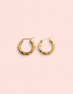 Load image into Gallery viewer, Golden Twist Hoop Stainless Steel Earrings
