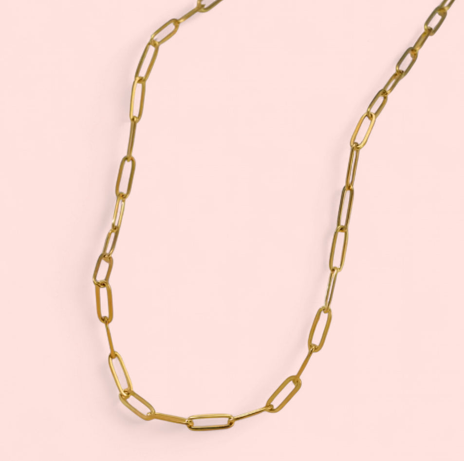 Gold Chain Stainless Steel Necklaces: Beaded, Snake, Cuban, Figaro, Twisted, Paperclip, Shinny
