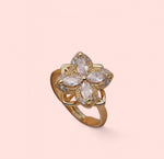 Load image into Gallery viewer, Luxe Clover Zircon Spin Stainless Steel Adjustable Ring
