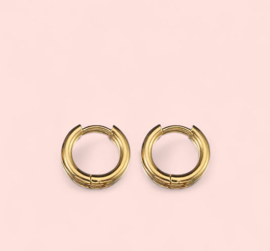 Gold Hoop 10MM Stainless Steel Earrings